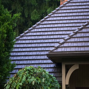 The Classic Shingles You Have Been Looking For
