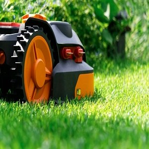 Impact Of Landscaping On The Aesthetics